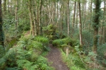 Path leading to St. Patrick's Chair